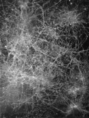 Black_Friday_Michael Rousseau